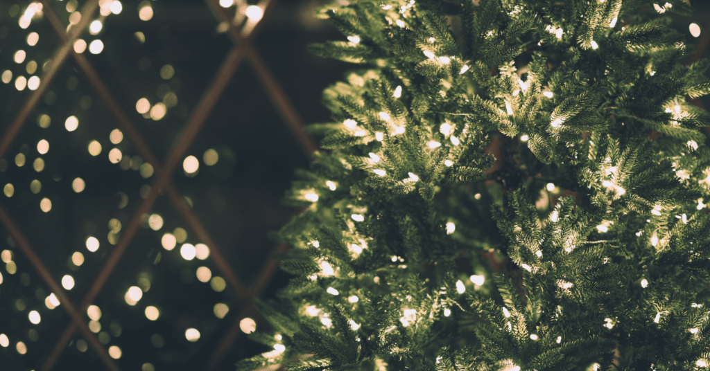 christmas-tree-header