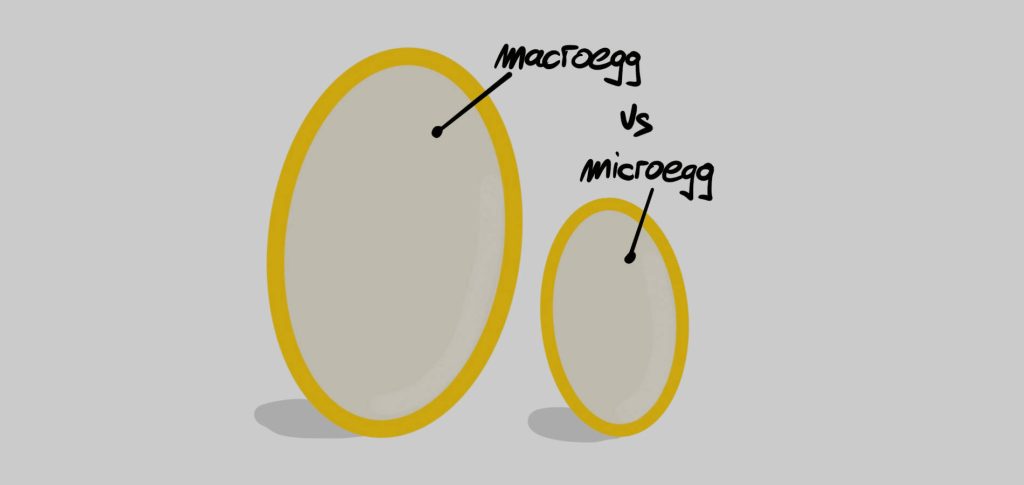 Microservice ilustration