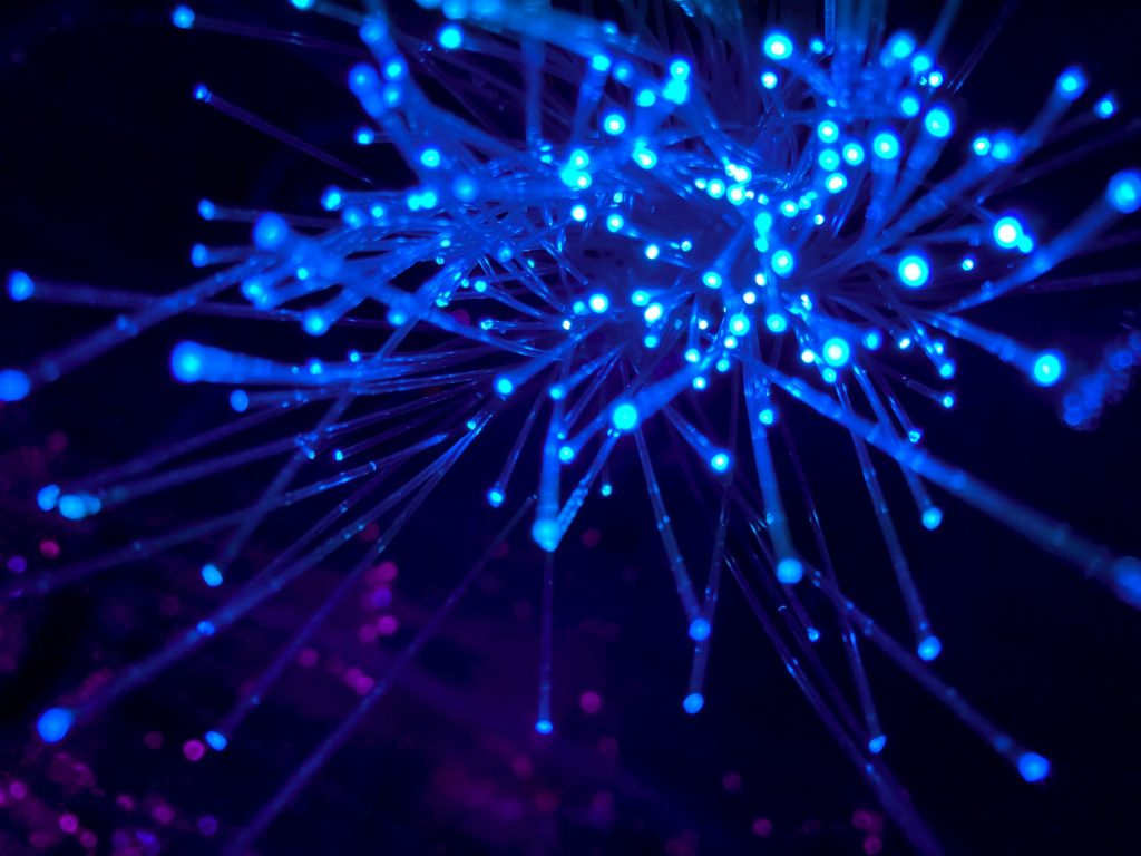 jj-ying-8bghKxNU1j0-unsplash-scaled