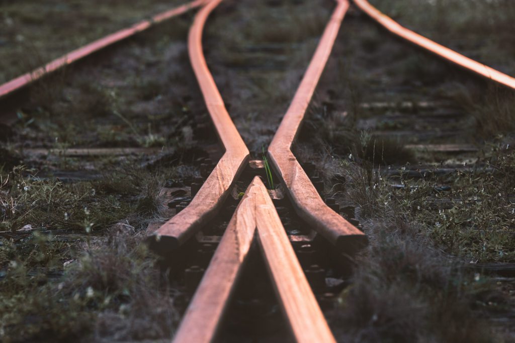 pexels-albin-berlin-892543-scaled