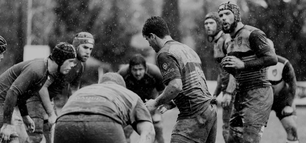 quino-team-unsplash