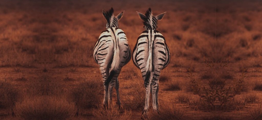 0800 DEVOPS #28 - Header