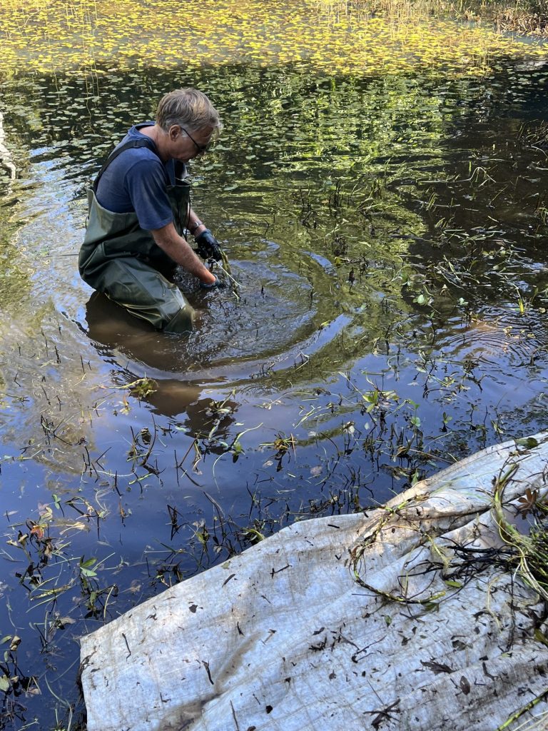 CROZ DACH volunteering