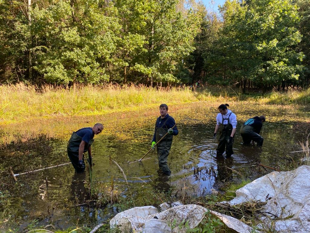 CROZ Sustainability Header