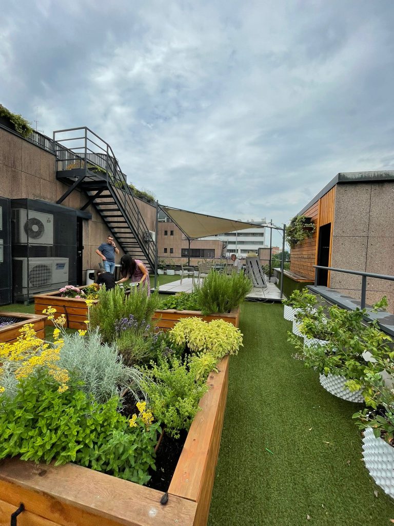 WhatsApp Image 2025-06-16 at 11.50.00 (1)