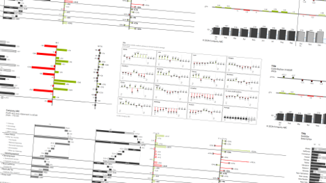 Header-image-datawizz