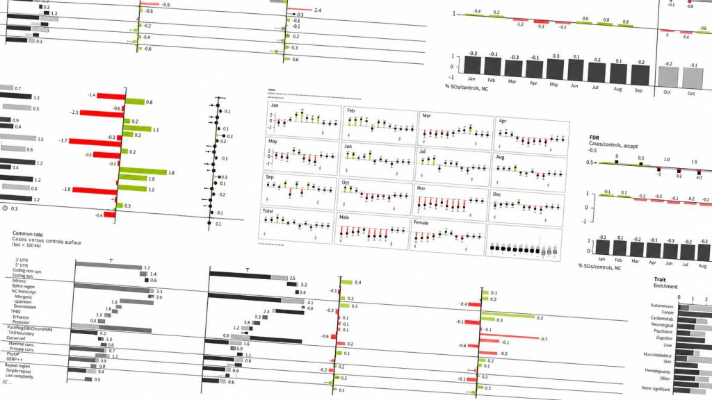 Header-image-datawizz
